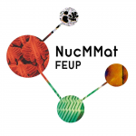 FEUP NucMMat