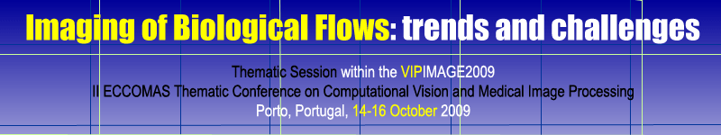 Imaging of Biological Flows: trends and challenges